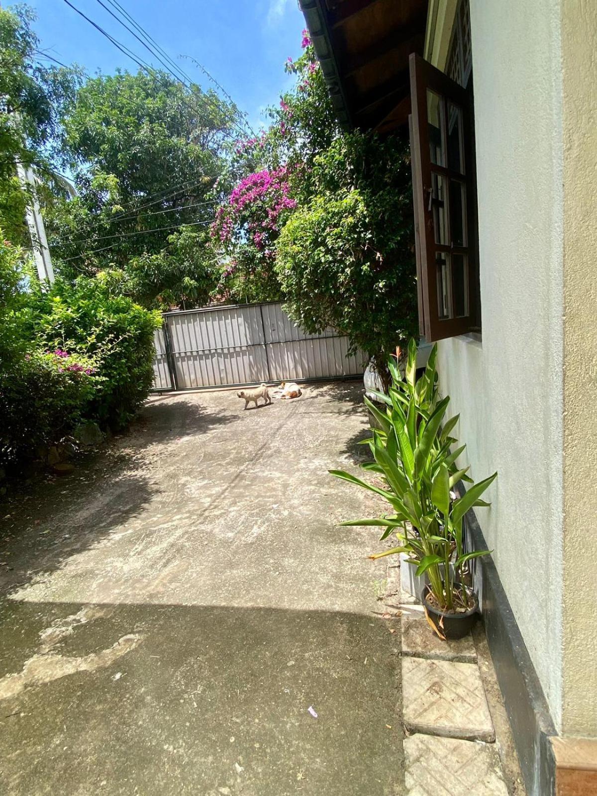 Noahs Ark Transit Stay Moratuwa Exterior foto