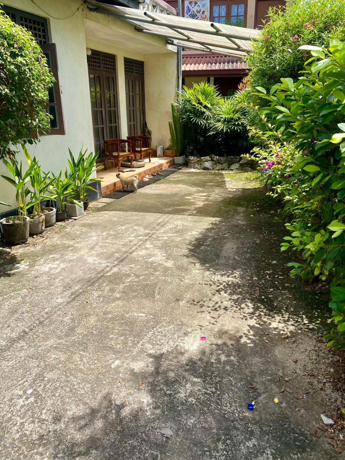Noahs Ark Transit Stay Moratuwa Exterior foto