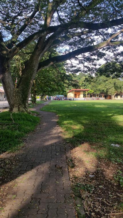 Noahs Ark Transit Stay Moratuwa Exterior foto